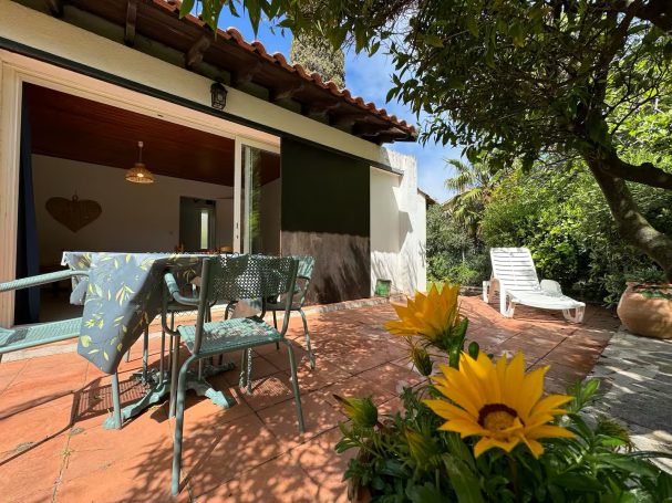 Terrasse ensoleillée avec des chaises, une table et des tournesols en fleurs.