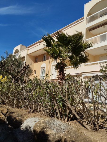 Cavalaire : T3 terrasse, piscine, clim Bâtiment avec palmier et haie, ciel bleu clair en arrière-plan.